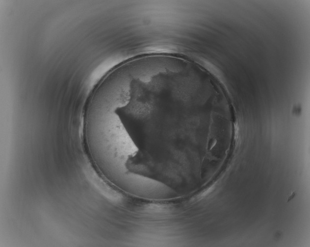 X0000112421179200908211139