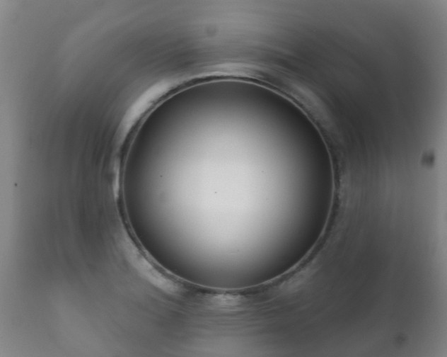 X0000112421180200908211139