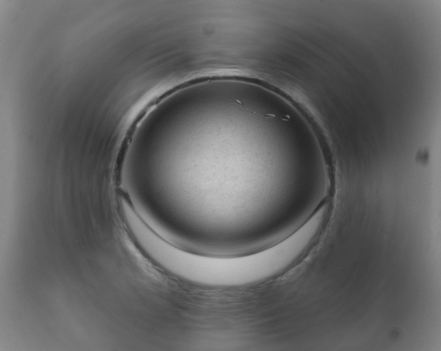 X0000112421181200908211139