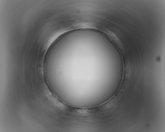 X0000112421182200908211139