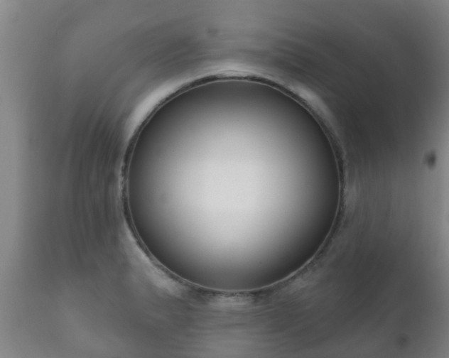 X0000112421183200908211139