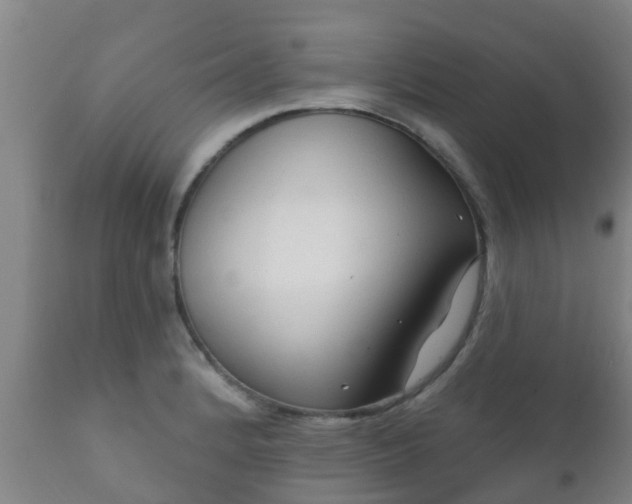 X0000112421184200908211139