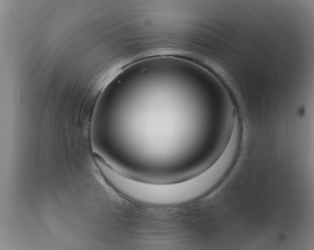 X0000112421185200908211139