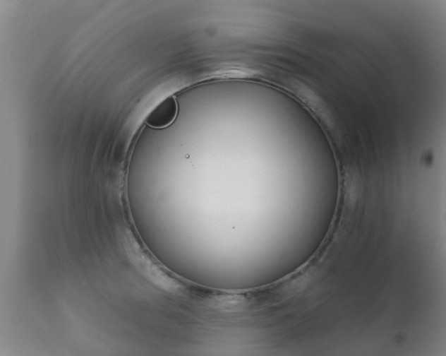 X0000112421186200908211139