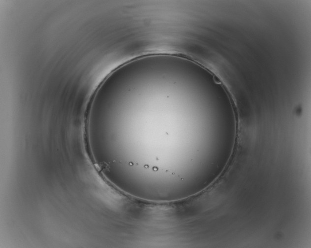 X0000112421187200908211139