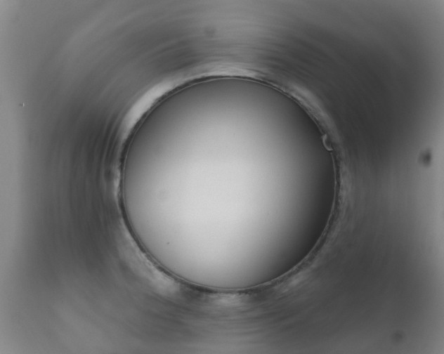 X0000112421188200908211139