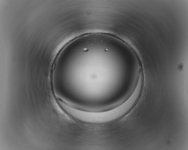 X0000112421189200908211139