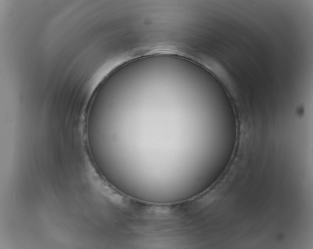 X0000112421190200908211139