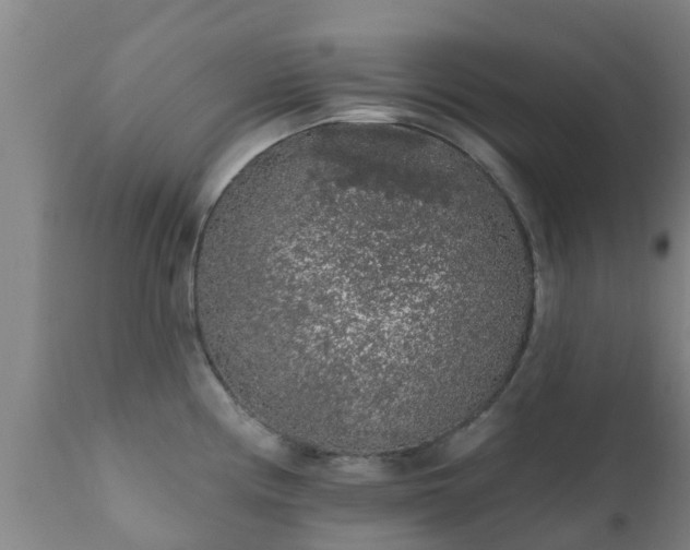 X0000112421194200908211138