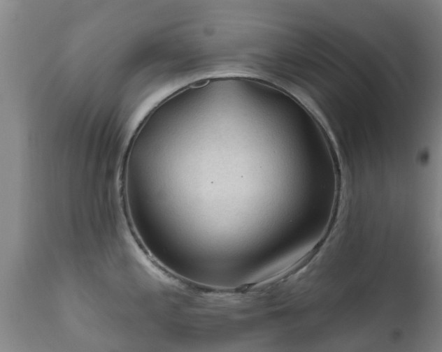 X0000112421197200908211138