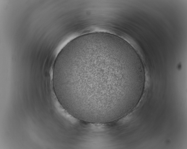 X0000112421198200908211138