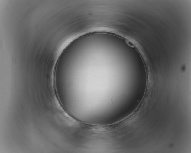 X0000112421199200908211138