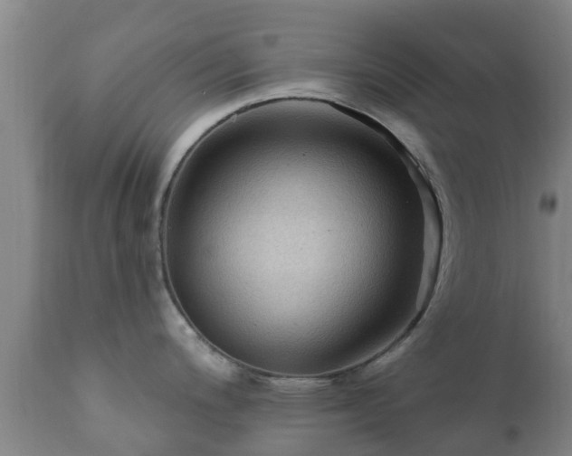 X0000112421200200908211138