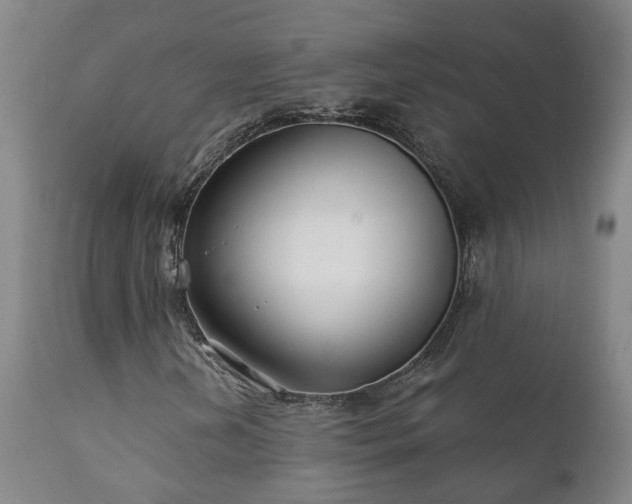 X0000112421202200908211137