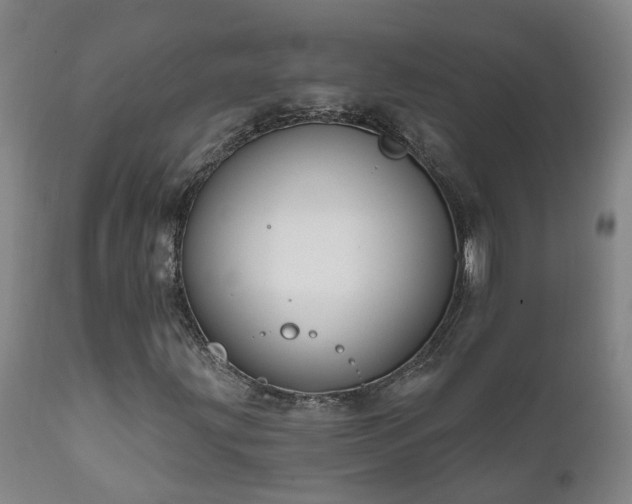 X0000112421203200908211137