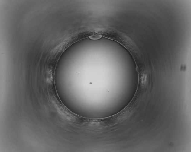 X0000112421204200908211137