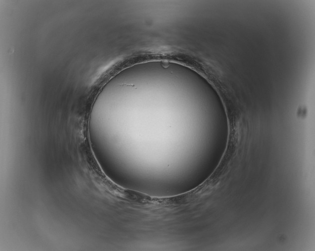 X0000112421205200908211137