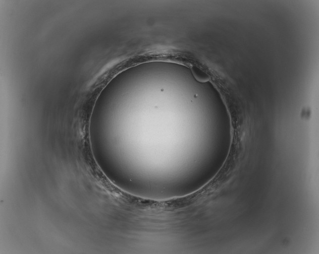 X0000112421206200908211137