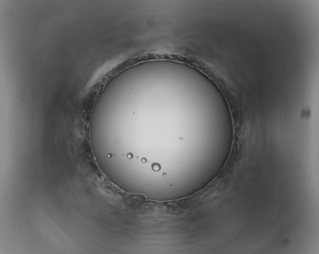 X0000112421207200908211137