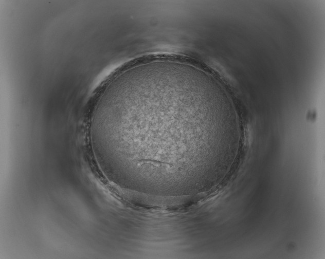 X0000112421208200908211137