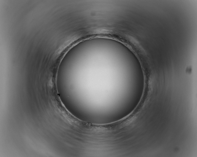 X0000112421209200908211137