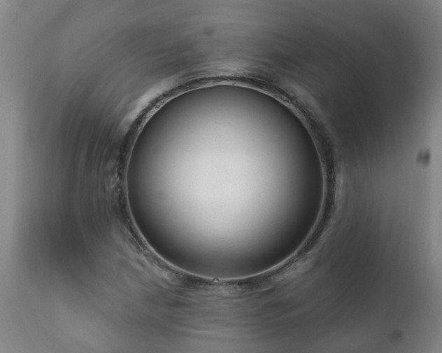 X0000112421210200908211138