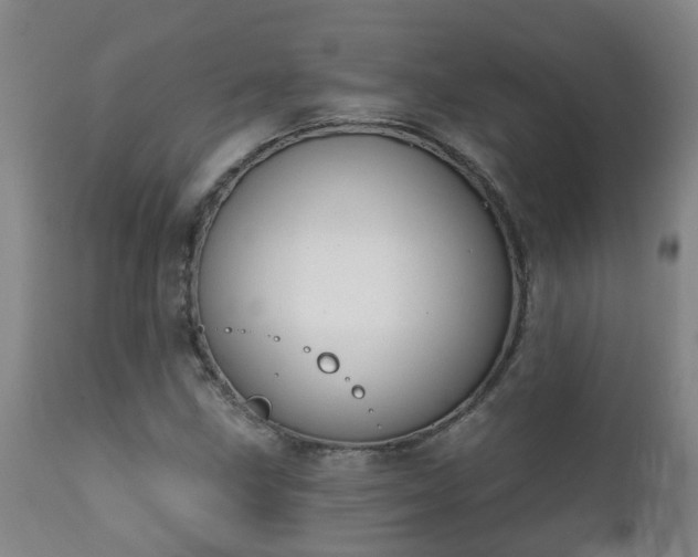 X0000112421211200908211138