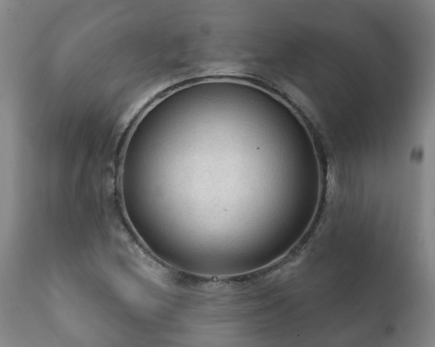 X0000112421212200908211138