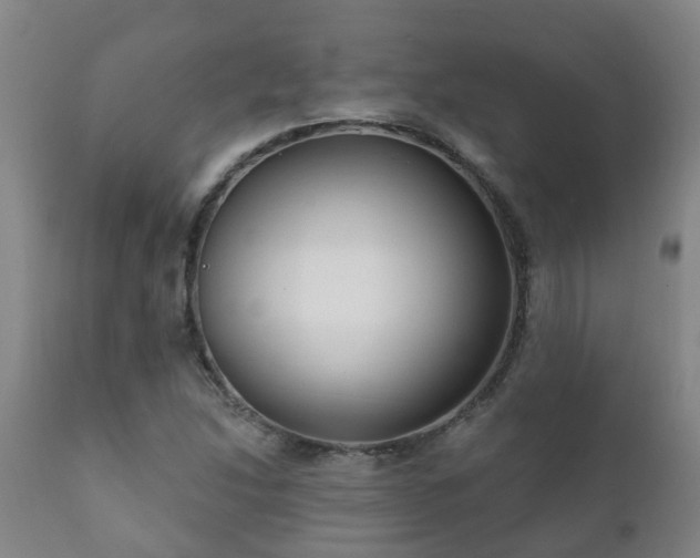 X0000112421214200908211138