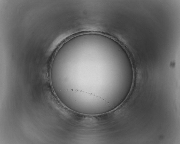 X0000112421215200908211138