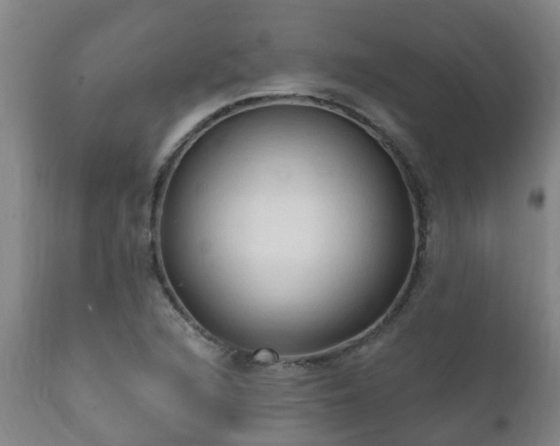 X0000112421216200908211138