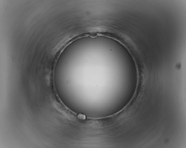 X0000112421217200908211138