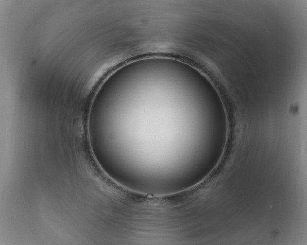 X0000112421218200908211138