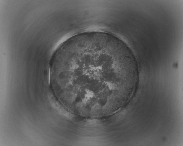 X0000112421219200908211138