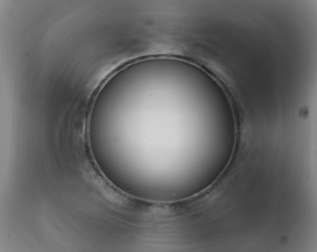 X0000112421220200908211138