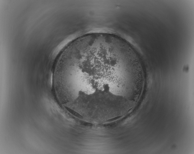 X0000112421221200908211138