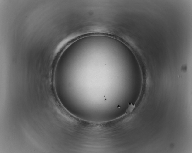 X0000112421222200908211138