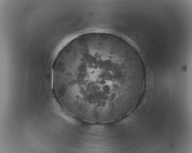 X0000112421223200908211138