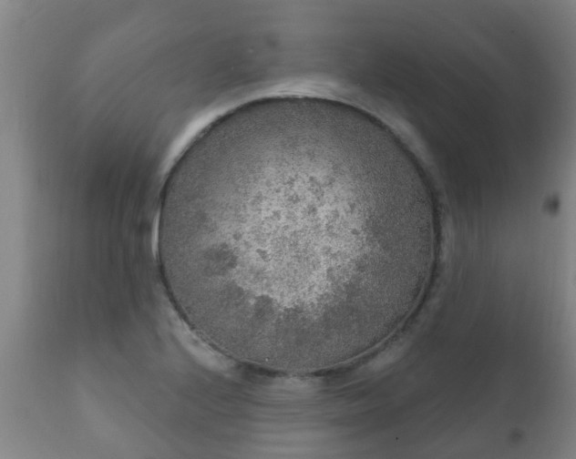 X0000112421224200908211138