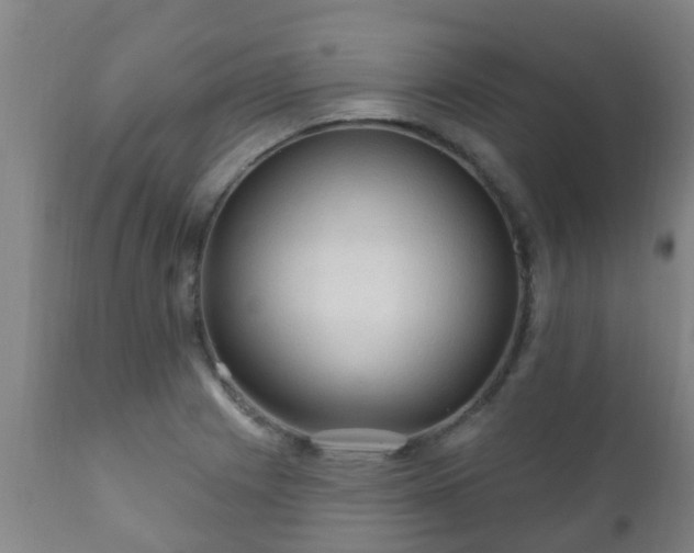 X0000112421225200908211138