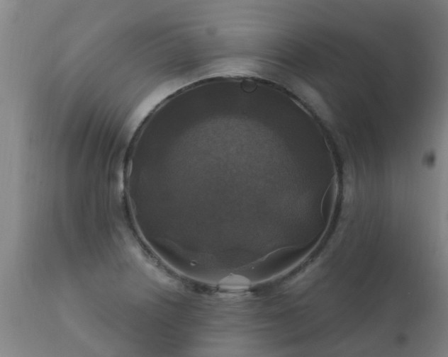 X0000112421226200908211138