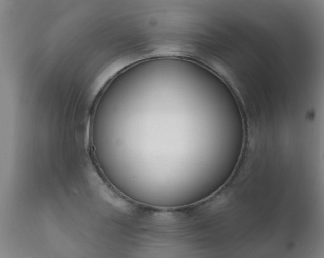 X0000112421227200908211138