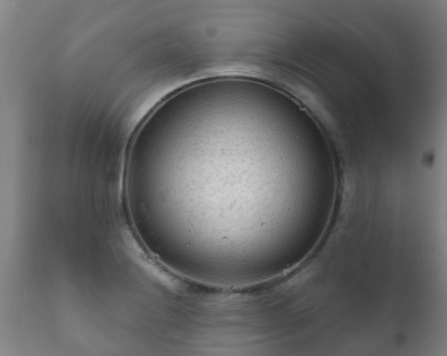 X0000112421228200908211138