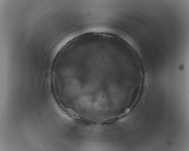 X0000112421229200908211138