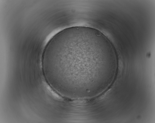 X0000112421230200908211138