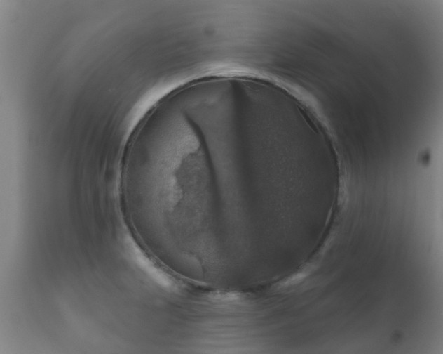 X0000112421231200908211138