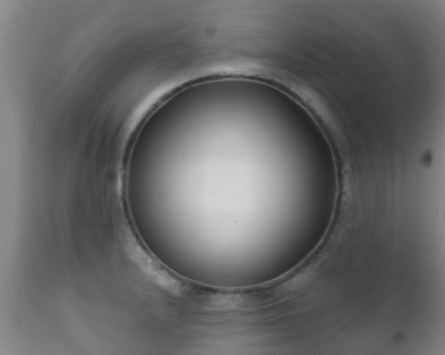 X0000112421232200908211138