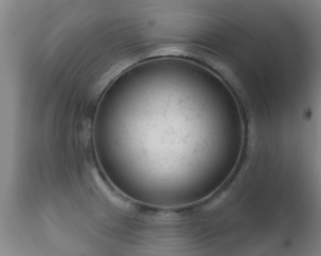 X0000112421233200908211138