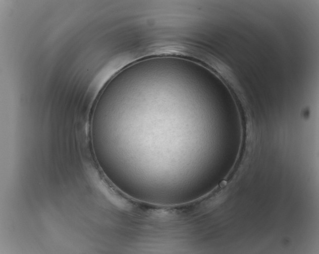 X0000112421234200908211138