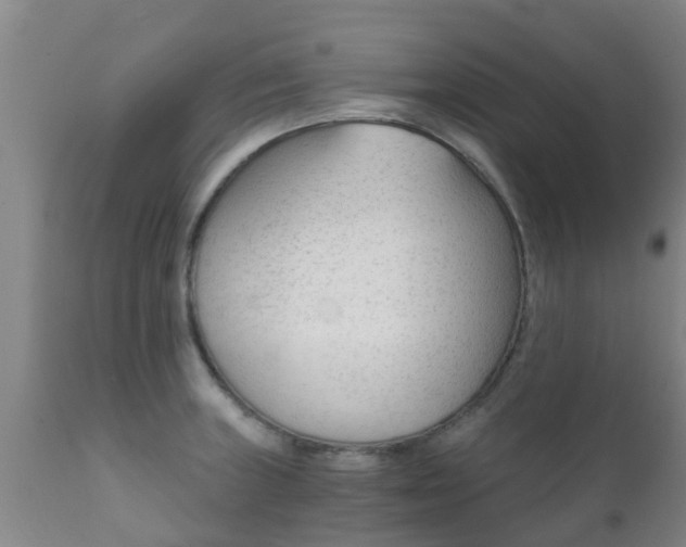 X0000112421235200908211138